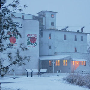 Meet your Posher, Daryl